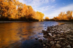 Boise River Autumn