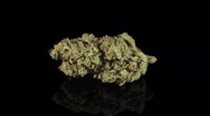 $15 Eighths of Flower for Sale in Ontario, OR